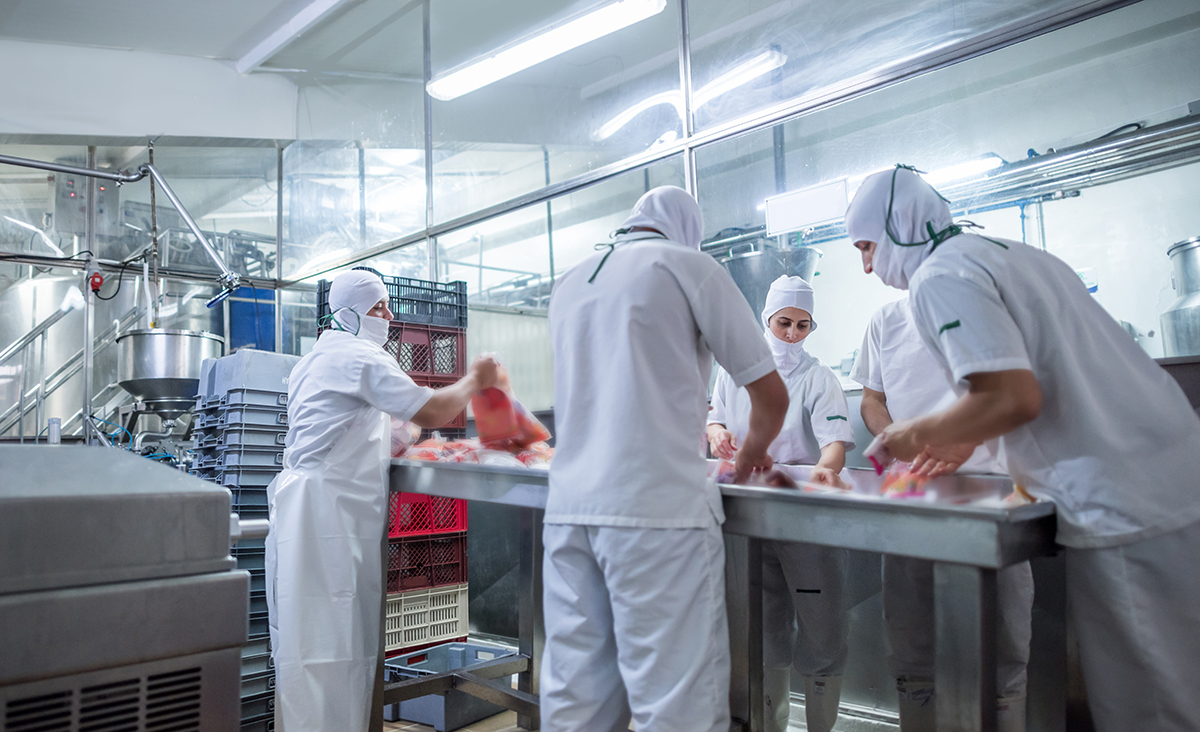 Food Safety Group of people working at a food factory